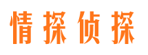 莱城情探私家侦探公司